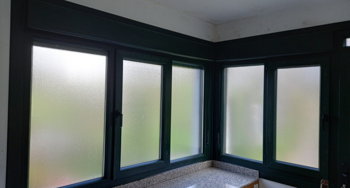 uerta entrada y ventanas PVC verde con persiana